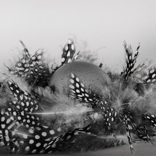 ei_im_nest_website